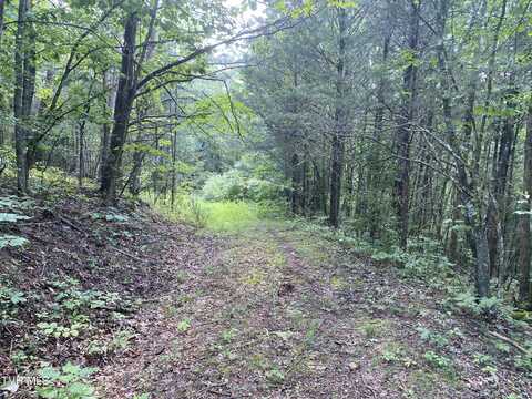 0 Sinks (103 Acres) Road, Blackwater, VA 24221