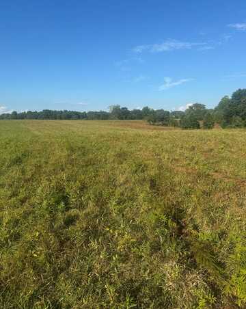 Old Paris Murray Rd, PURYEAR, TN 38251