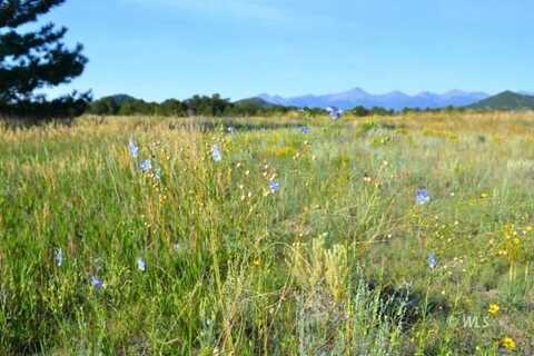 TBD Q Path, Cotopaxi, CO 81223