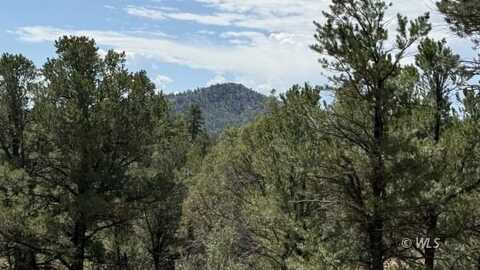 876 Q Path, Cotopaxi, CO 81223