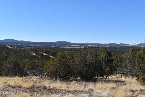 Tbd Stanford Road, Concho, AZ 85924