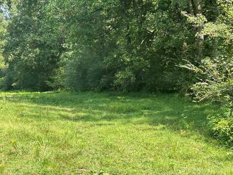 Tract 2 Attaway Road Tract 4.59 acres, Bowdon, GA 30108