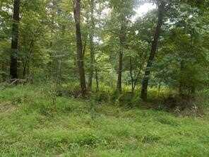 Lots 1&2 Brady's Landing, Perry Twp, PA 16041