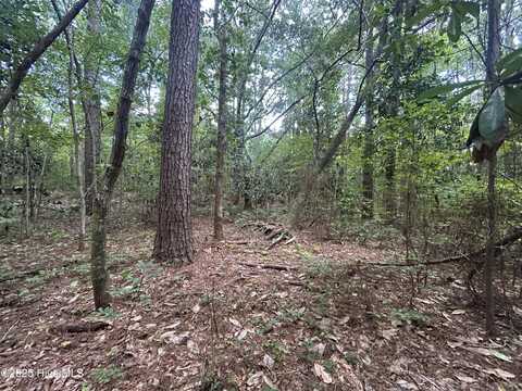 Lot 13 Rockhill Road, Castle Hayne, NC 28429