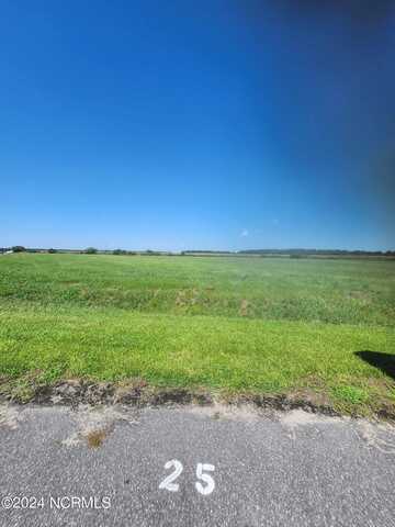 247 Blue Heron Boulevard, Hertford, NC 27944