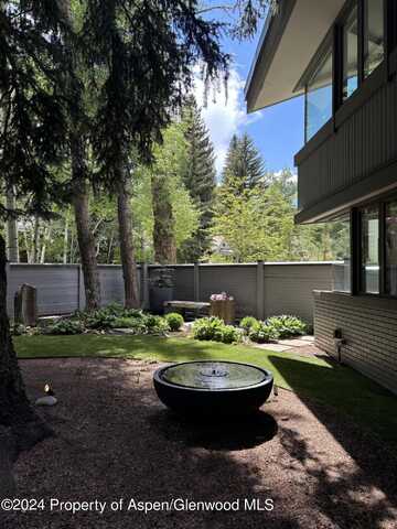 506 W Hallam Street, Aspen, CO 81611
