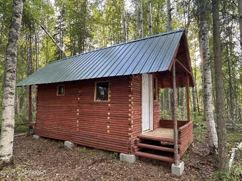 20224 E Twentyinch Avenue, Willow, AK 99688
