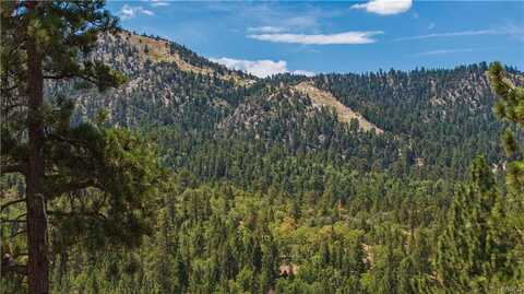 43805 Colusa Drive, Big Bear Lake, CA 92315