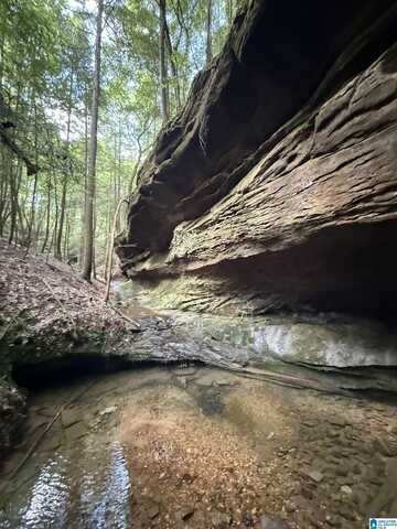 50 Acres COUNTY ROAD 2, DOUBLE SPRINGS, AL 35553