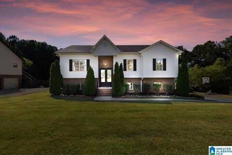 260 LAKESIDE DRIVE, ODENVILLE, AL 35120