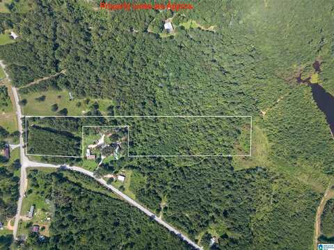 368 JONES CHAPEL ROAD, PIEDMONT, AL 36272