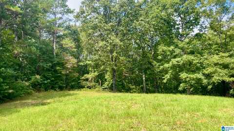 OLD GEORGIA ROAD, FRUITHURST, AL 36262