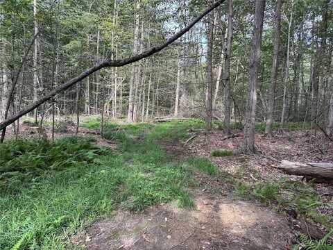 Allen Road, Sardinia, NY 14055