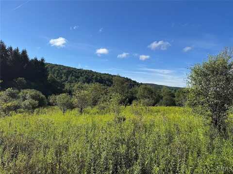 E Valley Road, Alfred, NY 14806