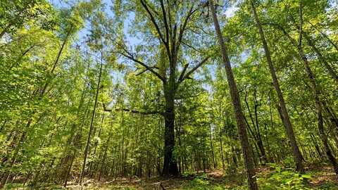 55.4 Acres GA HWY 0355, BUENA VISTA, GA 31803