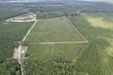 97.83 Acres-TBD Sugar Hill Fox Rd., Pamplico, SC 29583