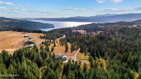 2953 E BADGER RD, Harrison, ID 83833