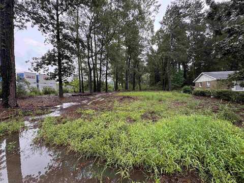 2520 Marathon Drive, Columbia, SC 29209