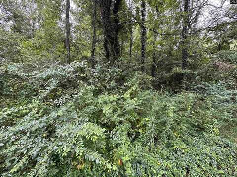 1314 Red Ridge Terrace, Columbia, SC 29203