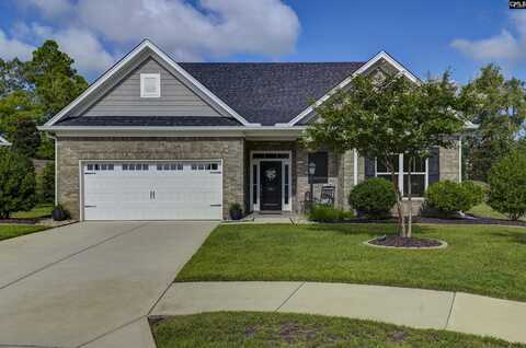 243 Mary Locke Court, Elgin, SC 29045