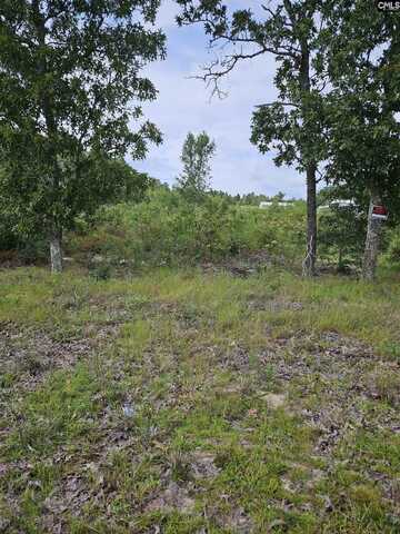 736 BUSH BERRY Road, Pelion, SC 29123