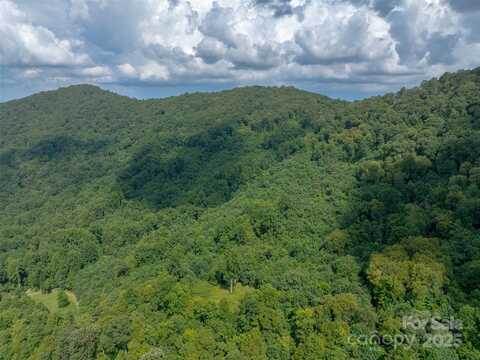 99999 Billy Cove Road, Candler, NC 28715