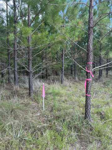 Bff 4 Brunson Teal Road, Patrick, SC 29584