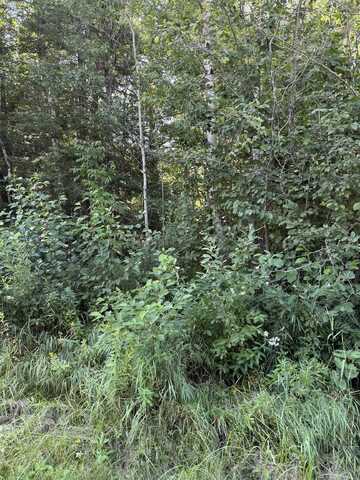XXX Marks Rd, Esko, MN 55733