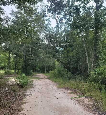 00 Coot Adams Rd., Ashford, AL 36312