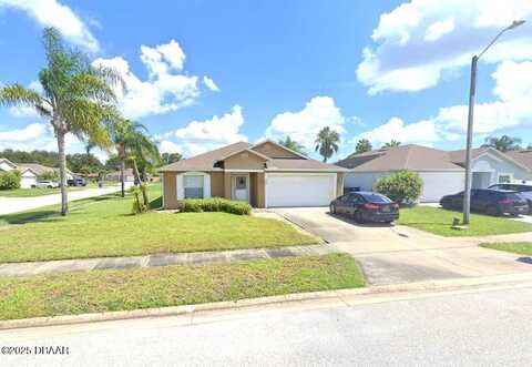229 Tree Branch Lane, Edgewater, FL 32141