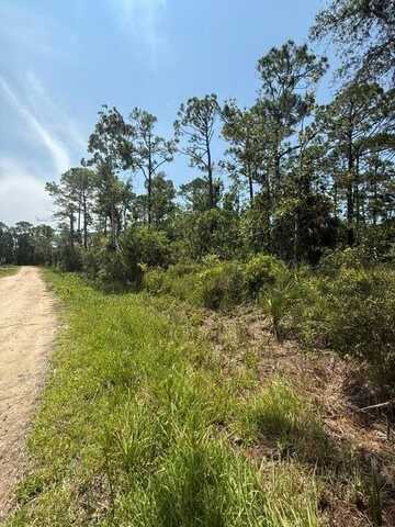 Lot 4 Fifth Ave, Steinhatchee, FL 32359