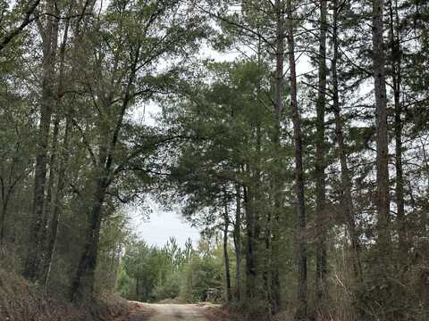 Tract#6418 Bryant Bay Road, Caryville, FL 32427