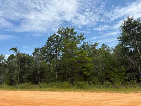 Lots Xxx W of W Royal Palm Avenue, DeFuniak Springs, FL 32433