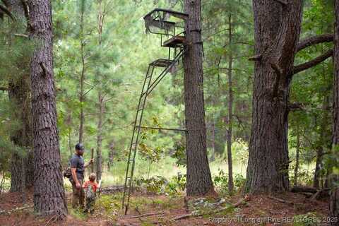 Blue Woods Road, Laurinburg, NC 28352