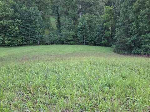 Lot 32 Brookstone Vista Lane, Franklin, NC 28734