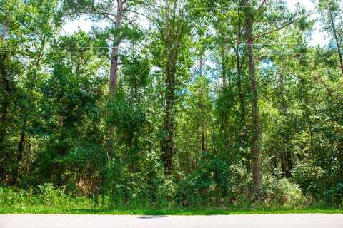 Lot 9 Bent Oak Road, Clarks Hill, SC 29821