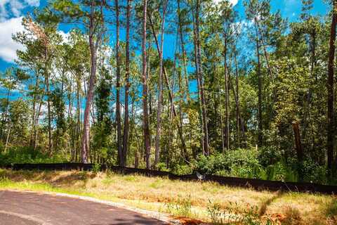 Lot 16 Leyland Court, Clarks Hill, SC 29821