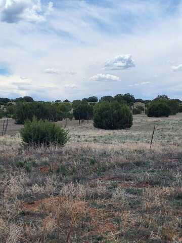 Bullion Road, Moriarty, NM 87035
