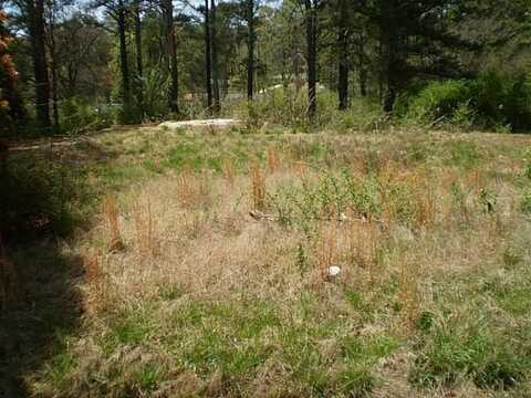 4603 Ruby Road, Stone Mountain, GA 30083
