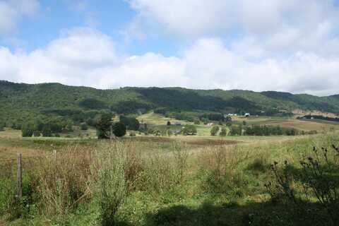 TBD MILL GAP RD, MONTEREY, VA 24465