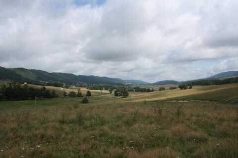 TBD MILL GAP RD, MONTEREY, VA 24465