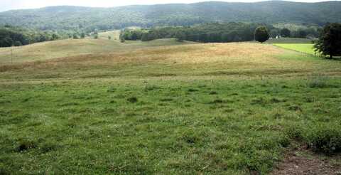 TBD MILL GAP RD, MONTEREY, VA 24465