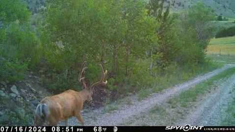 1131 Outlaw Trail, Anaconda, MT 58711