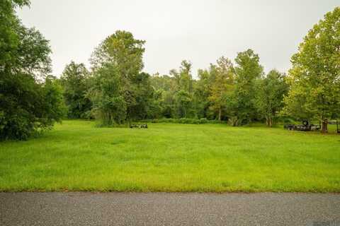 15844 Cypress Point Ln, French Settlement, LA 70733