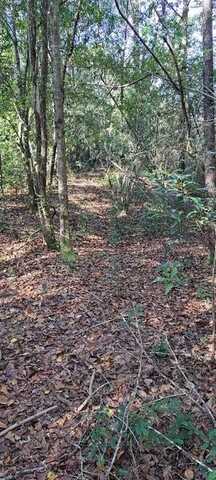 0 Dykes Road, Eight Mile, AL 36613