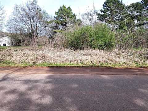 0 Ballard Road, Grand Bay, AL 36541