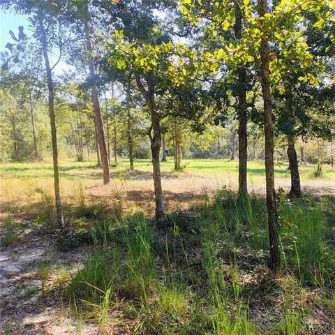 5608 Sam Lewis Road, Citronelle, AL 36522
