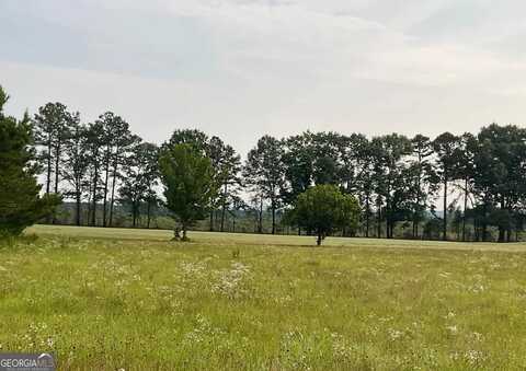 38 & 39 Crabapple, Hawkinsville, GA 31036