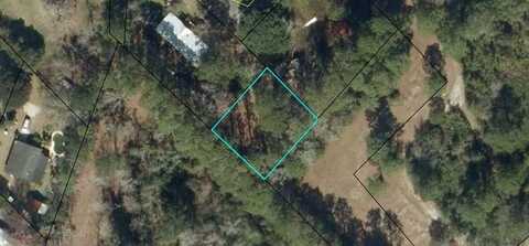 707 Nevada Street, Darien, GA 31305