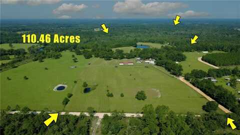 91 Cane Circle, Nahunta, GA 31553